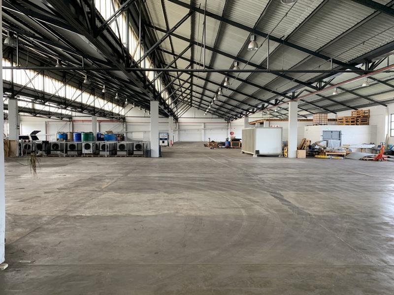 To Let commercial Property for Rent in Paarden Eiland Western Cape